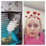 paul howie - @paulhowietakenbyemma - Instagram