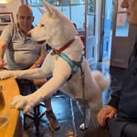 Paul Howley - @paul.howley.12 - Instagram
