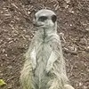Paul Huckstep882 - @fitfitter1964 - TikTok
