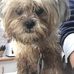 Pauline Huckstepp - Facebook