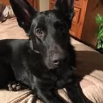 Paul Hulse - @pfhulse - Instagram