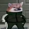 Paul - @paulhunsinger3 - TikTok