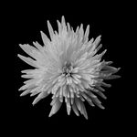 Paul Hurrell - @hurrellphotography - Instagram