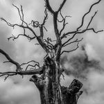 Paul Hurrell Photography - @paulhurrellphotography - Instagram