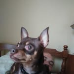 Paul Hurtt - @titto.777 - Instagram