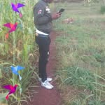 Paul Hasman Njogu - @paulhusmannjogu - Instagram