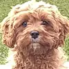 Paul Hunting - @paul.hunting - TikTok