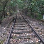 Paul Hütt - @paul.hutt.92 - Instagram