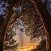 Paul Hutt - Facebook