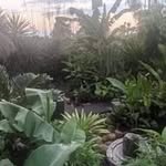 Paul Hyatt - @paulhyatt74 - Instagram