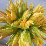 Paulmar Hydroponics - @paulmarhydro - Instagram
