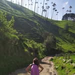 Pauli Barra - @pauli.barra - Instagram