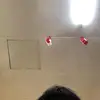 Paul ignacio - @paul.lasula - TikTok