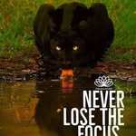 Paul Iliya - @paul.iliya.7547 - Instagram