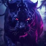 Paul Illingworth - @illingworth3366 - Instagram