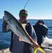 Paul Illingworth - Facebook