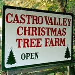 Paul Illingworth - @cvtreefarm - Instagram