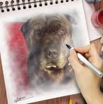Paul Imeson - Facebook