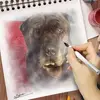 paulimeson356 - @paulimeson356 - TikTok