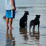 Paul Inglis - @paul.inglis.902 - Instagram