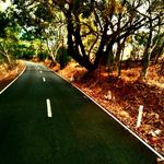 Paul Inglis - @inglispaul - Instagram