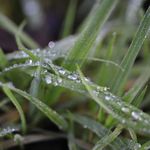 Paul Ingwersen - @ingwersen.images - Instagram