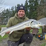 Paul Tinsley - @tinsley_paul - Instagram