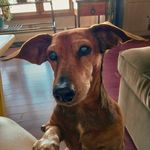 Paul Isabelle - @zigpotman2468 - Instagram