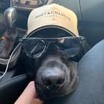 Paul - @paul_isken - Instagram