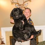 Paul Jamboretz - @pjamboretz - Instagram