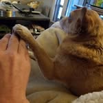 Paul Jameson - @pauljameson2006 - Instagram