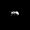 pauljameson446 - @pauljameson22 - TikTok