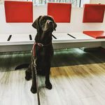 Paul janke - @p.janke_2012 - Instagram