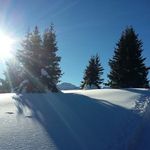 paul jaques - @la_nature_2018 - Instagram