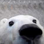Paul-Jaques F - @paul_jaqourie - Instagram