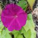 Paula Jaquith - Facebook
