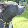 Paul Jarman - @paul.jarman - TikTok