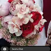 Paul Jarosz - @pauljarosz5341 - TikTok