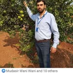 Paul Javid - @paul.javid.355 - Instagram