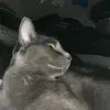 paul jaynes - @paul.jaynes8 - TikTok