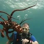 Paul Jergens - @jergenspaul - Instagram
