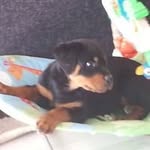 Pål Johannessen - @paljohannessen - Instagram