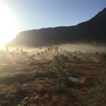Paul Johanson - @johanson_paul - Instagram