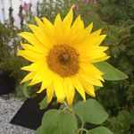 Paul Jørgensen - @paul_halvor - Instagram