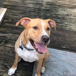 Paul Jorgensen - @paw.jorgensen - Instagram