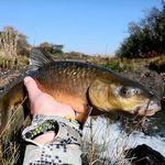 Paul Joubert - @paul_flyfish - Instagram