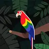 Paul Karam - @paul.karam38 - TikTok