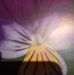 Paul Kellner - Facebook