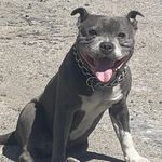 Paul Kerins - @p_kerins - Instagram
