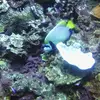 paulakerns - @pj44983 - TikTok